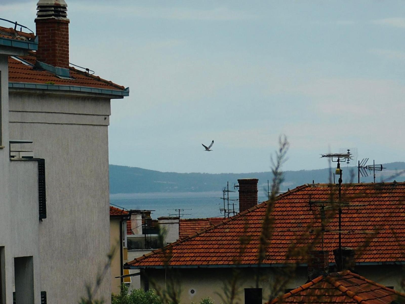 Apartment Lux Lariva, Center Of